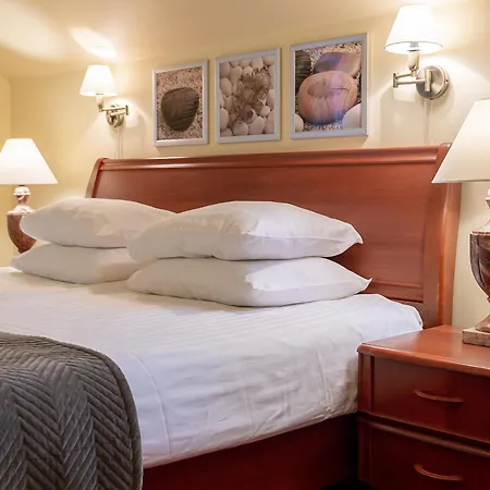 Best Palanga Hotel 3*